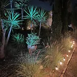 Casa Lisroyan - Pool & Garden In Armacao Villa
