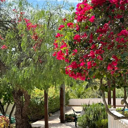 Βίλα Casa Lisroyan - Pool & Garden In Armacao