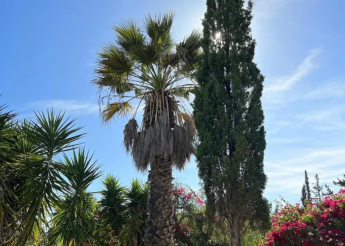 Casa Lisroyan - Pool & Garden In Armacao *