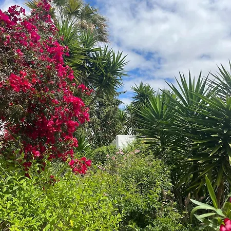 Villa Casa Lisroyan - Pool & Garden In Armacao Alcantarilha