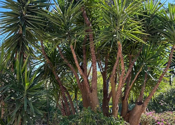 Casa Lisroyan - Pool & Garden In Armacao * Alcantarilha